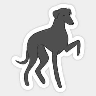 italian greyhound Sticker